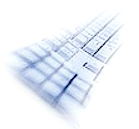 GENEX Case Management System GENEX Case Management System